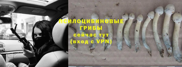 амф Алексеевка