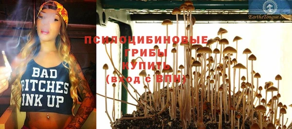 амф Алексеевка