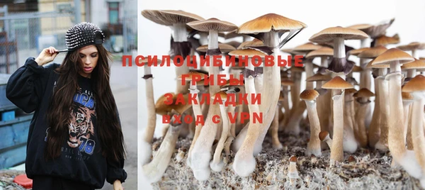 винт Алзамай
