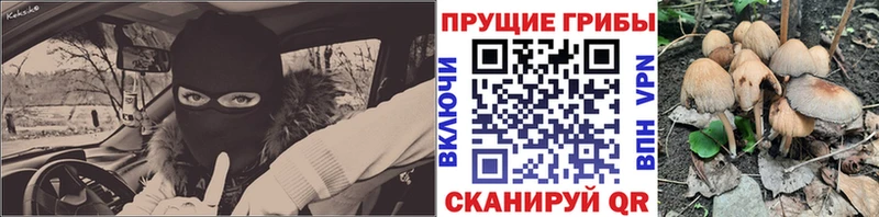 Псилоцибиновые грибы Cubensis  как найти закладки  Арск 